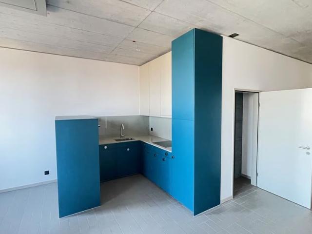 Apartment mieten in Schlieren, Zürich