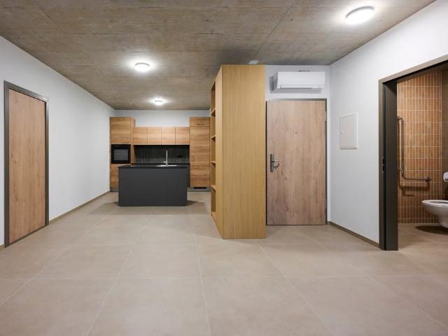 Apartment mieten in Gorduno, Bellinzona