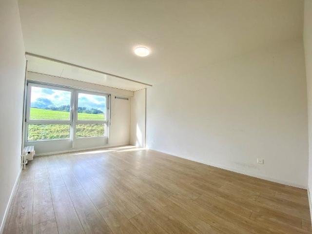 Apartment mieten in Bazenheid, Kirchberg (SG)