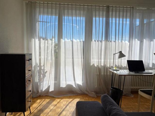 Apartment mieten in Heidenchilen, Wettswil am Albis