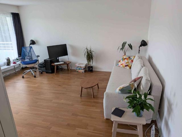 Apartment mieten in Sihlau, Adliswil