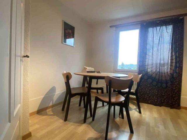 Apartment mieten in Stein am Rhein, Schaffhausen