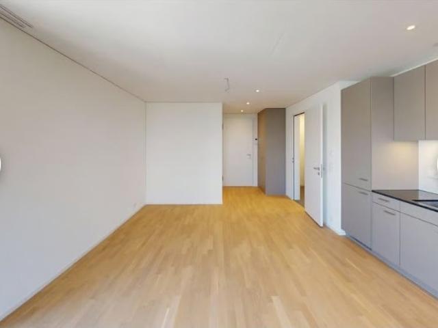 Apartment mieten in Hochbord, Dübendorf