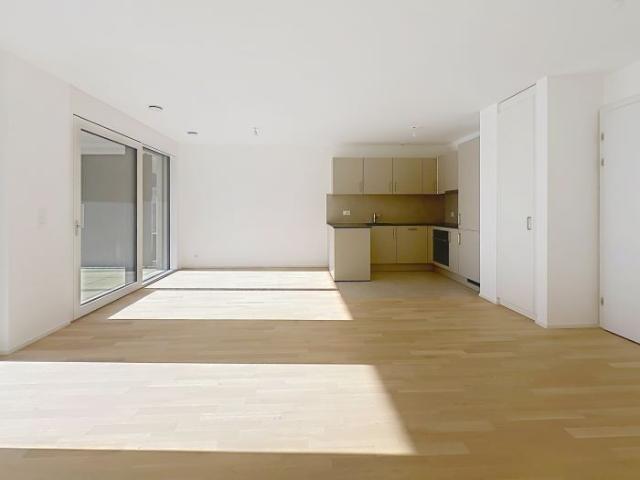 Apartment mieten in Sion