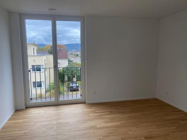 Apartment mieten in Reinach (BL), Basel-Landschaft