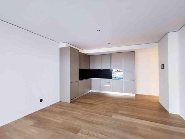 Apartment mieten in Paradiso, Tessin