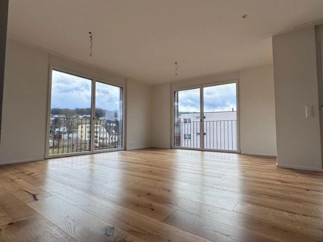 Apartment mieten in Breitenbach, Solothurn