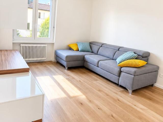 Apartment mieten in Lamone, Tessin