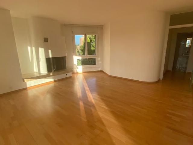 Apartment mieten in Schwamendingen Mitte, Zürich