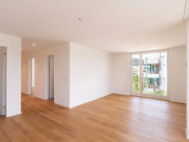 Apartment mieten in Bad Zurzach, Zurzach