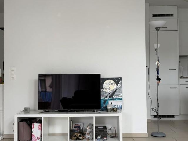 Apartment mieten in Theilingen, Weisslingen