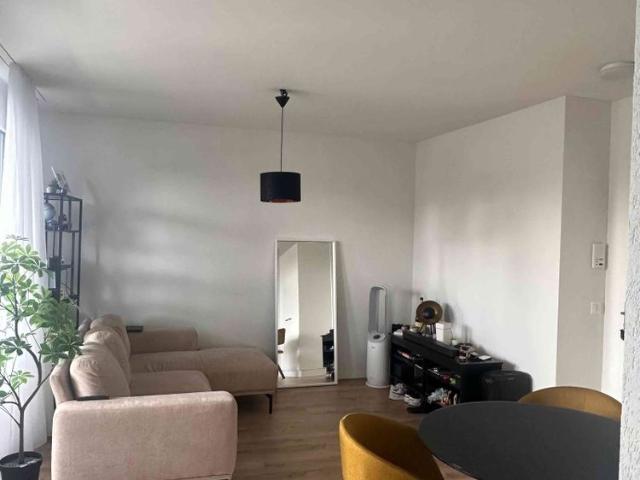 Apartment mieten in Berikon, Aargau