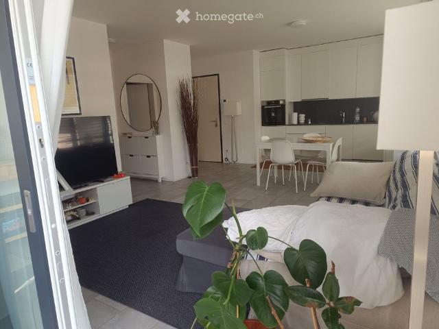Apartment mieten in Massagno, Tessin