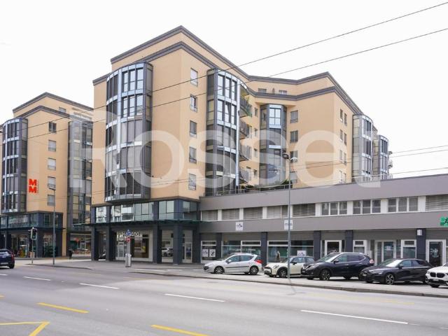 Apartment mieten in Vevey, Waadt
