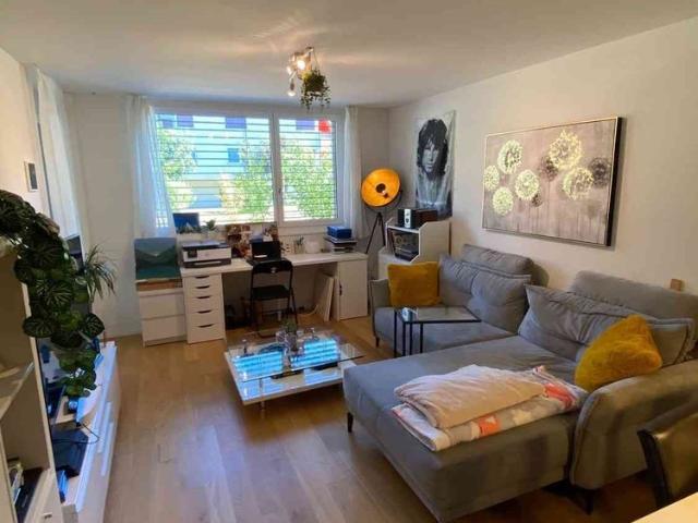 Apartment mieten in Muri Ag, Aargau