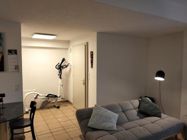 Apartment mieten in Arni (AG), Bezirk Bremgarten