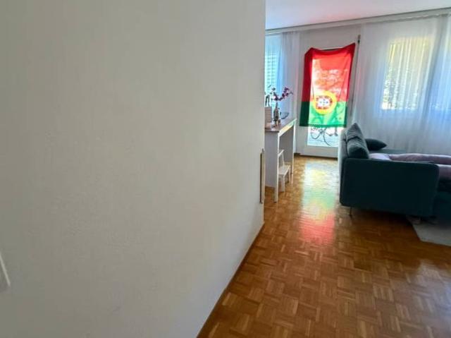 Apartment mieten in Dübendorf, Zürich