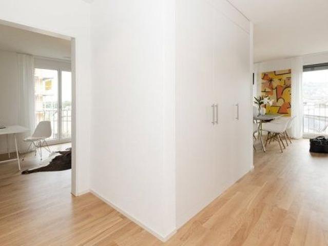 Apartment mieten in Niedergösgen, Solothurn
