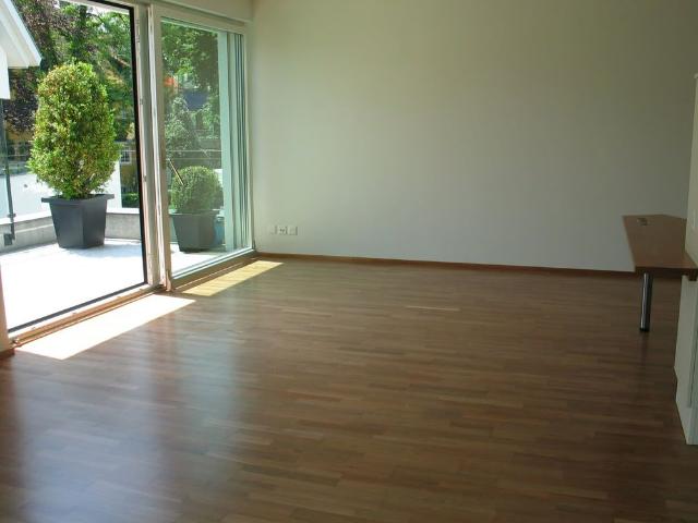 Apartment mieten in Küsnacht (ZH), Zürich