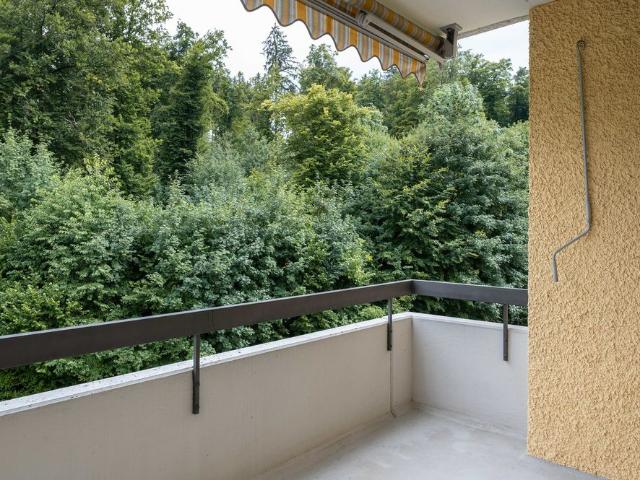 Apartment mieten in Illnau-Effretikon, Zürich