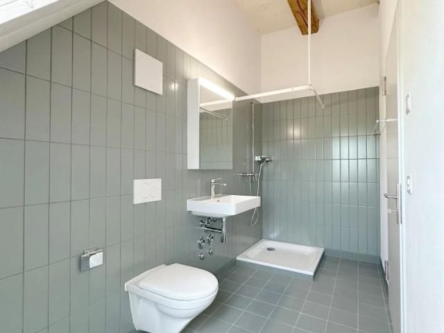 Apartment mieten in Unterengstringen, Zürich