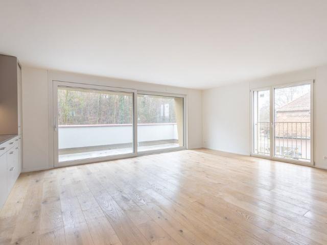 Apartment mieten in Einigen, Zürich