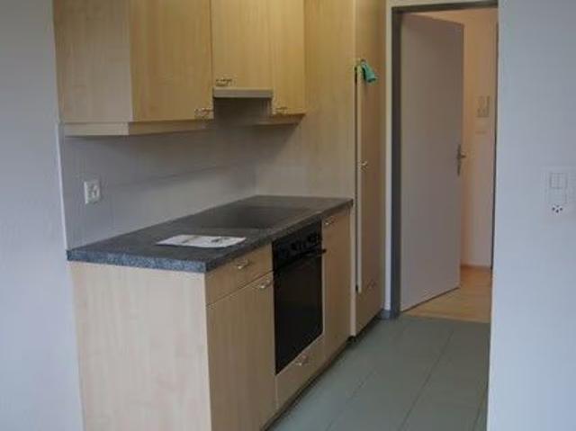 Apartment mieten in Thayngen