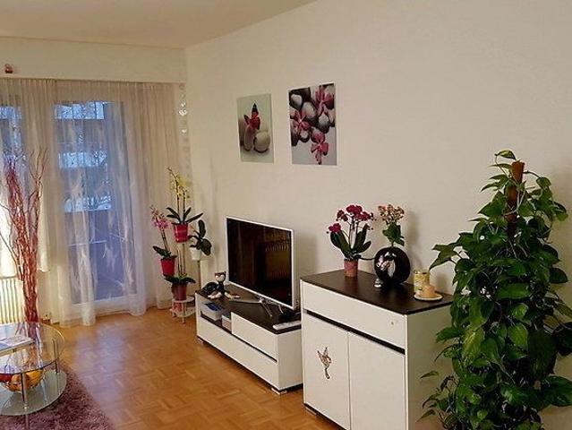Apartment mieten in Studen (BE), Bern