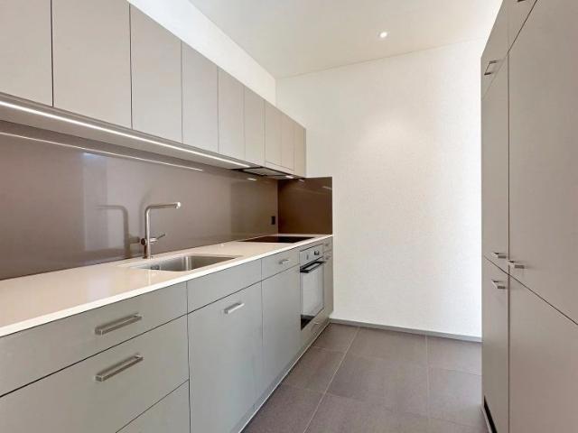Apartment mieten in Sihlfeld, Zürich