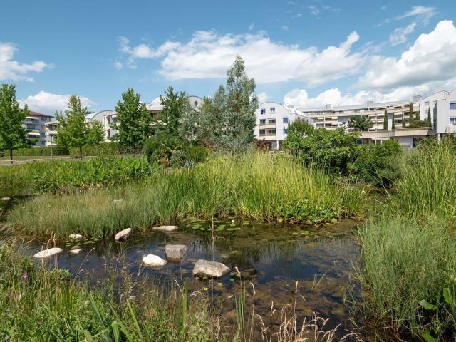 Apartment mieten in Renens, Waadt
