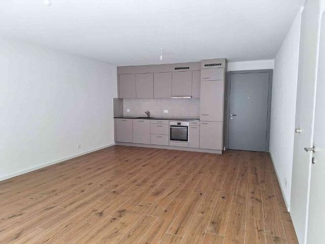 Apartment mieten in Monthey
