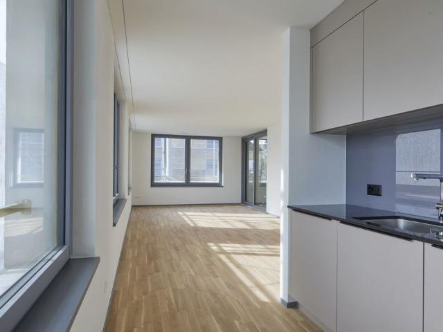 Apartment mieten in Einigen, Zürich