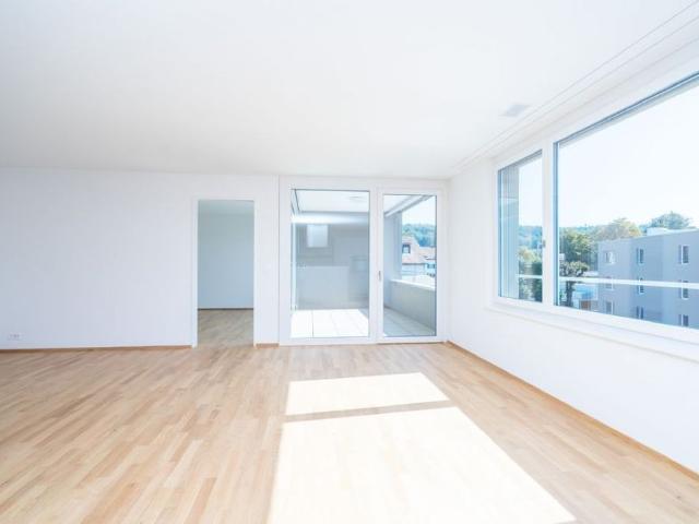 Apartment mieten in Schönenwerd, Amtei Olten-Gösgen