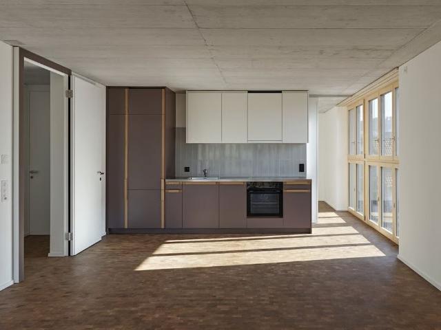 Apartment mieten in Pfäffikon (SZ), Zürich