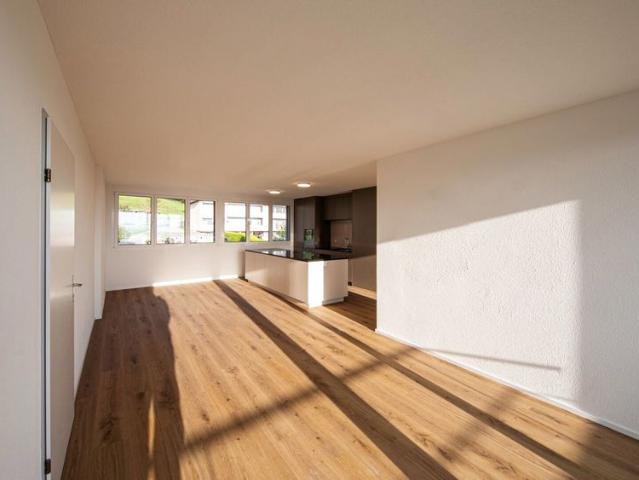 Apartment mieten in Niederwetzwil, Rickenbach