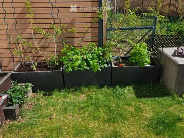 Apartment mieten in Renens, Waadt