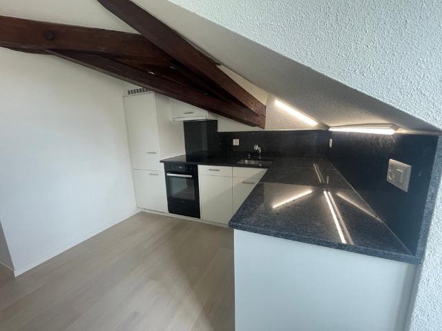Apartment mieten in Einigen, Zürich