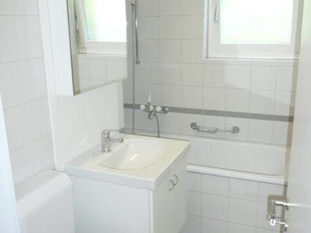 Apartment mieten in Uitikon Waldegg, Zürich