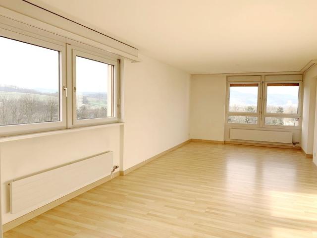 Apartment mieten in Kaiseraugst, Aargau
