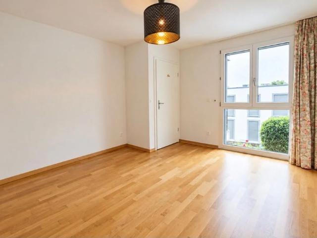 Apartment mieten in Sonchaux, Veytaux