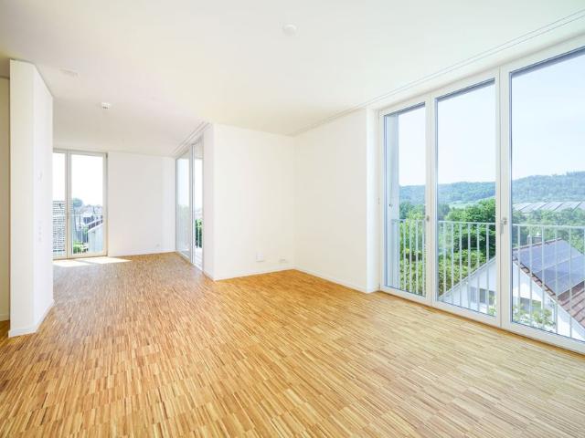 Apartment mieten in Kaiseraugst, Aargau