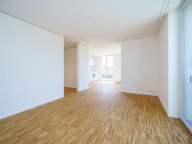 Haus mieten in Kaiseraugst, Aargau