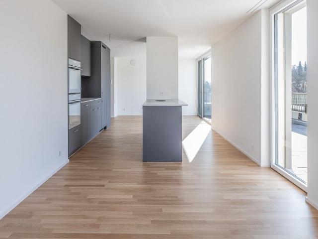 Apartment mieten in Einigen, Zürich