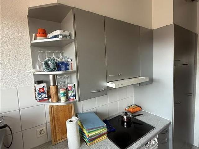 Apartment mieten in Einigen, Zürich