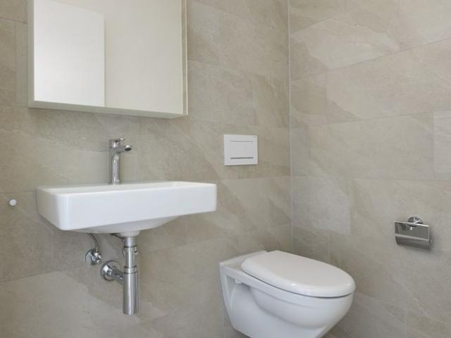 Apartment mieten in Einigen, Zürich