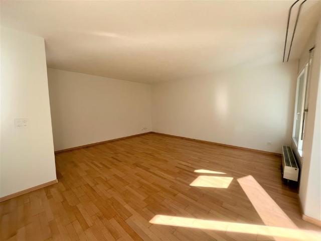 Apartment mieten in Hunzenschwil, Aargau