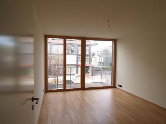 Apartment mieten in Neuhegi, Winterthur