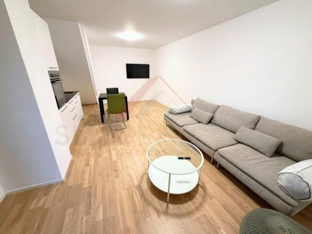 Apartment mieten in Wigarten, Selzach