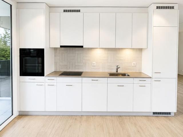 Apartment mieten in Holderbank (AG), Aargau