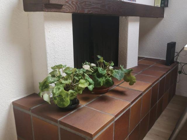 Apartment mieten in Rothrist, Bezirk Zofingen